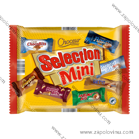 CHOCEUR Selection Mini 500g